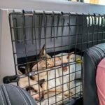  Ahmed Khan, Dubai, UAE